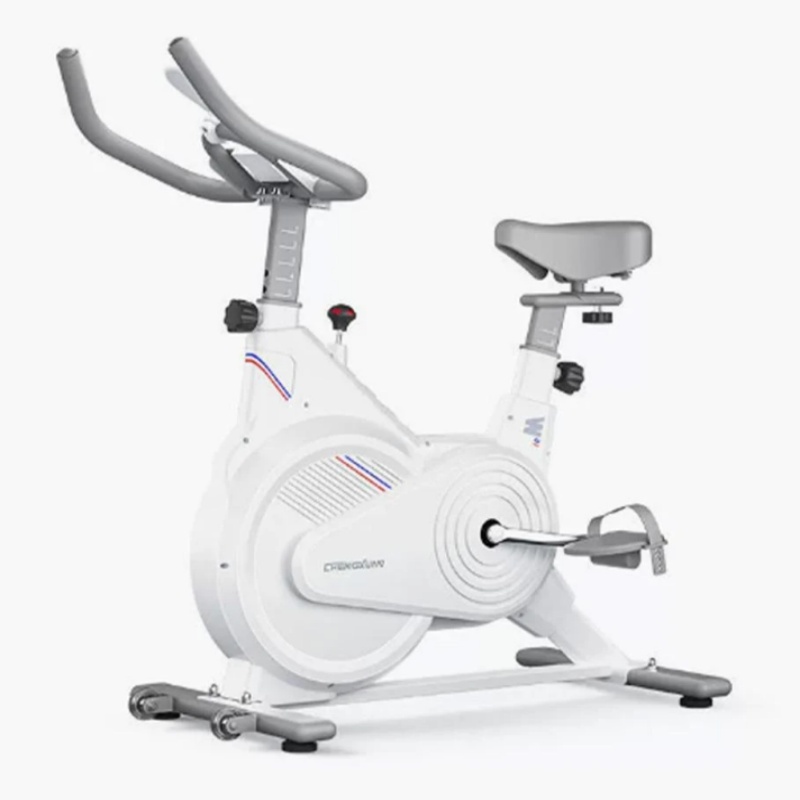 Home Gym Rig - Indoor Stationary Spin Bike, Silent Magnetic